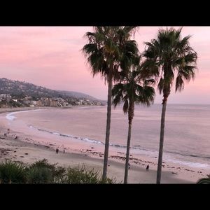 Meet your Posher, Dina